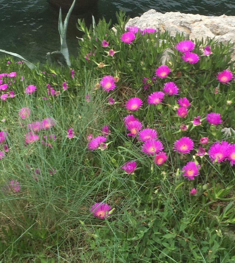 Guesthouse Antonija Veli Lošinj Exteriér fotografie
